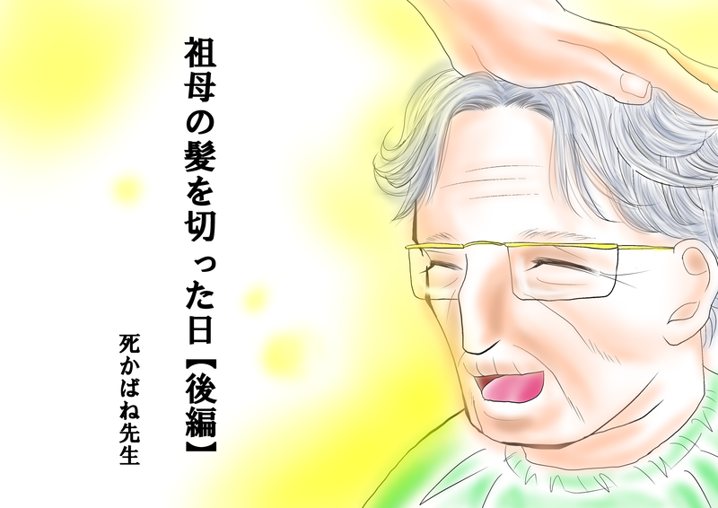 安心介護 祖母の髪を切った日 しかばね先生 介護資格を目指す人のためのブログ